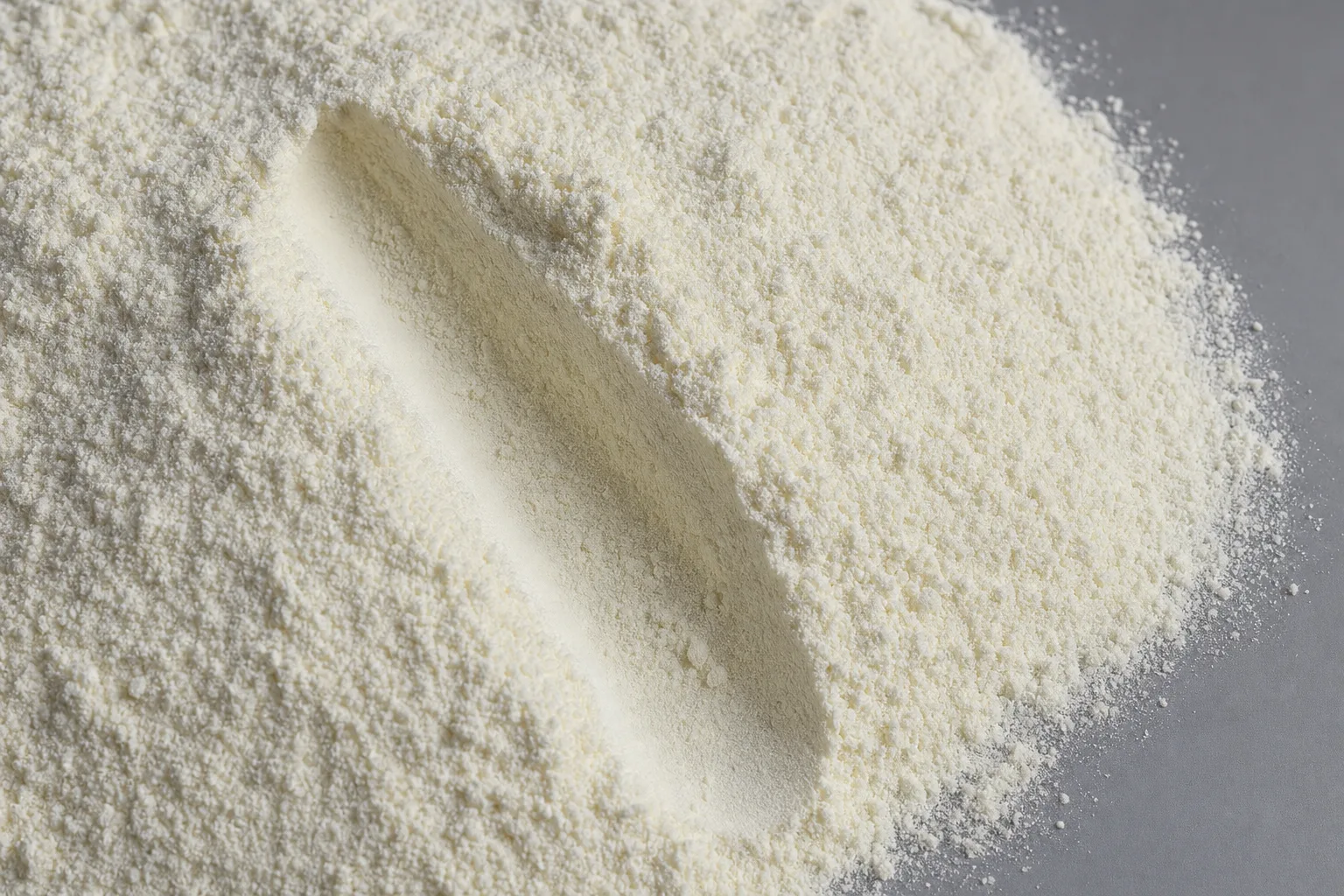 Close-up of whey protein powder, showing particle size and texture.