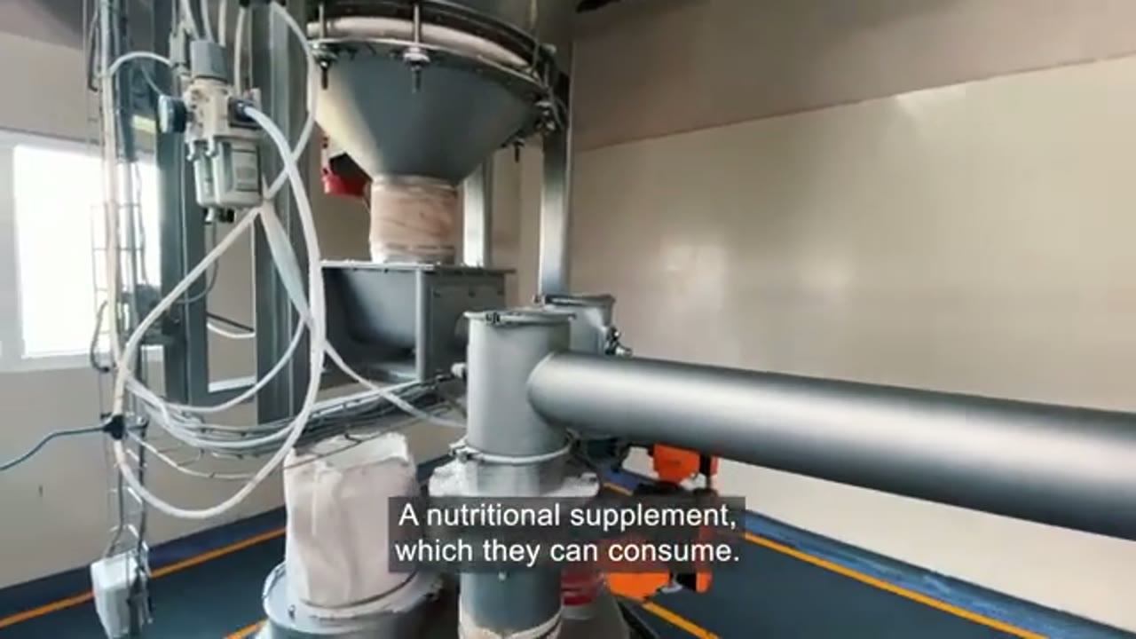 Trusted Partnership: Why BigMuscles Chose Gericke for Efficient Powder Processing video frame