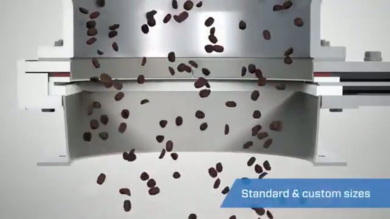 Vortex®: Clear Action Gate™ video frame