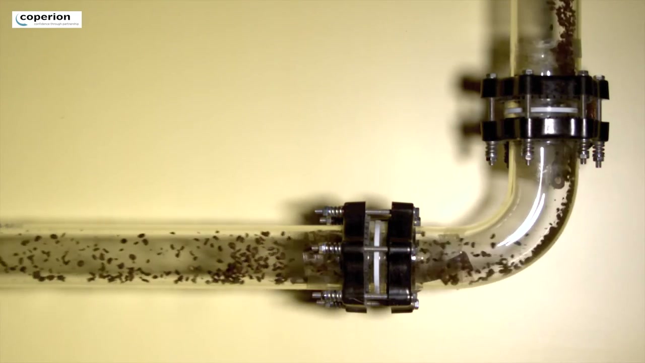 Dense Phase Conveying of Coffee Beans video frame
